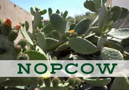 NopCow - Alimento Premium para ganado bovino lechero